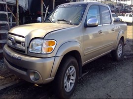 2004 TOYOTA TUNDRA, GOLD, SR5 MODEL, CREW CAB, 4.7L, AT, 2WD. Z25216